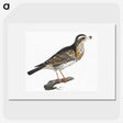 3-29_Johan-Teyler_picture