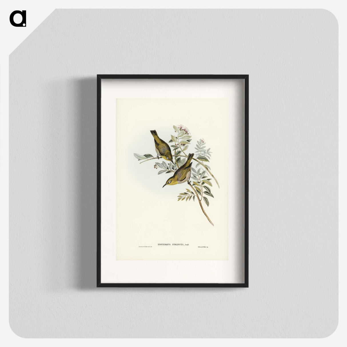 3-29_John-Gould_blk