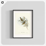 3-29_John-Gould_blk
