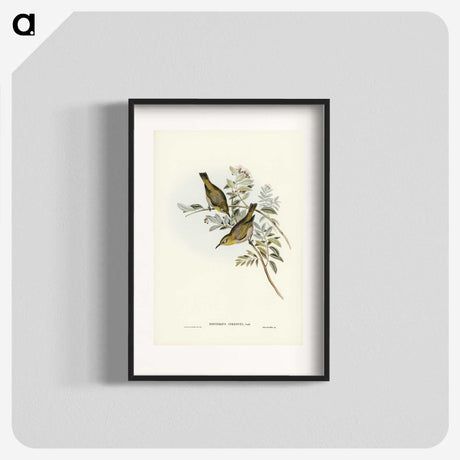 3-29_John-Gould_blk