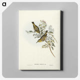 3-29_John-Gould_canvas