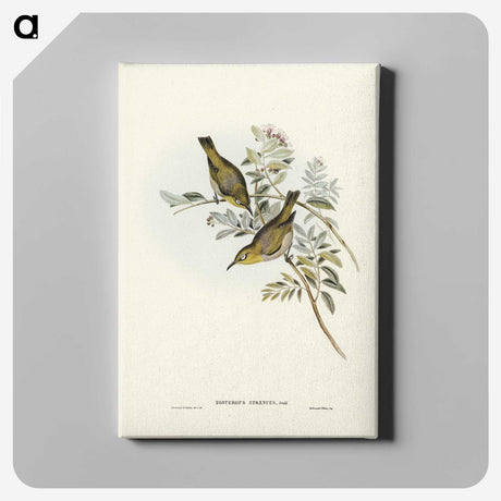 3-29_John-Gould_canvas