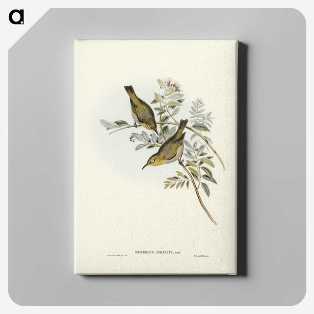 3-29_John-Gould_canvas