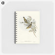 3-29_John-Gould_memo