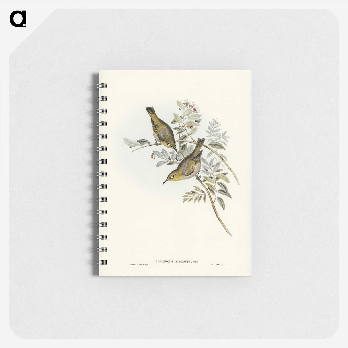 3-29_John-Gould_memo