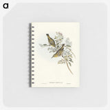 3-29_John-Gould_memo