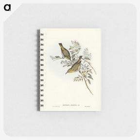 3-29_John-Gould_memo