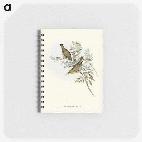3-29_John-Gould_memo