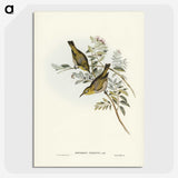 3-29_John-Gould_picture-crop