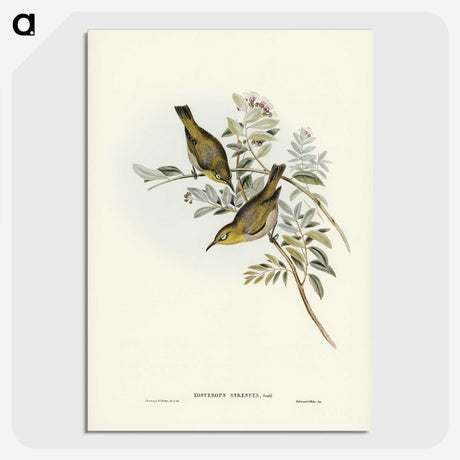 3-29_John-Gould_picture-crop