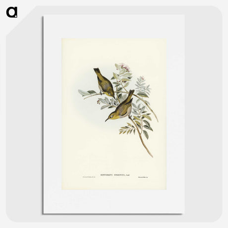 3-29_John-Gould_picture