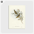 3-29_John-Gould_postcard