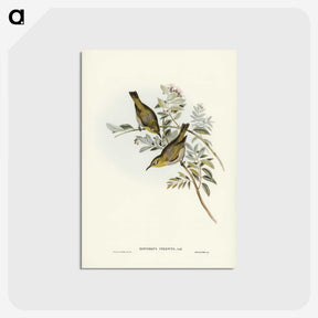 3-29_John-Gould_postcard