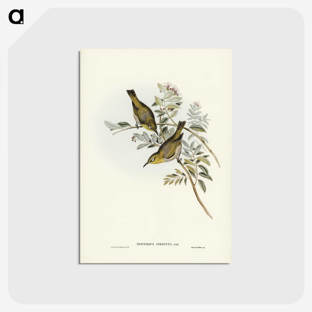 3-29_John-Gould_postcard