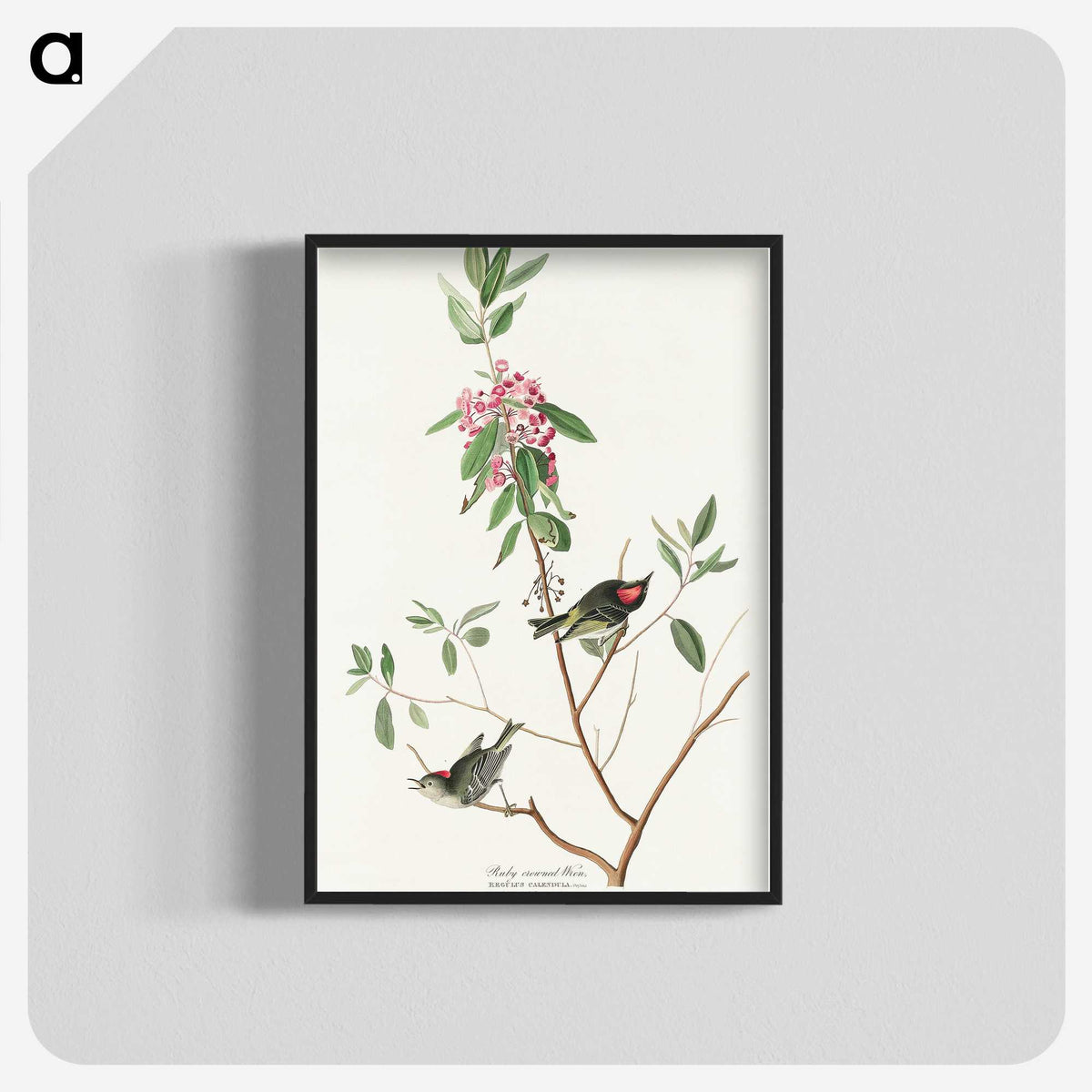 3-29_John-James-Audubon_blk-crop