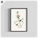 3-29_John-James-Audubon_blk