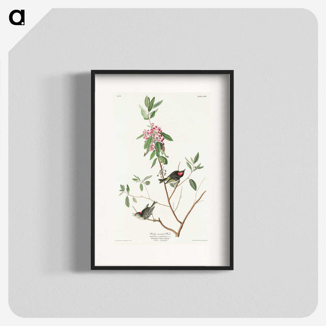 3-29_John-James-Audubon_blk