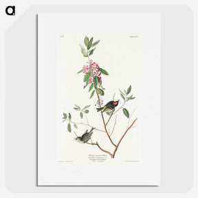 3-29_John-James-Audubon_picture