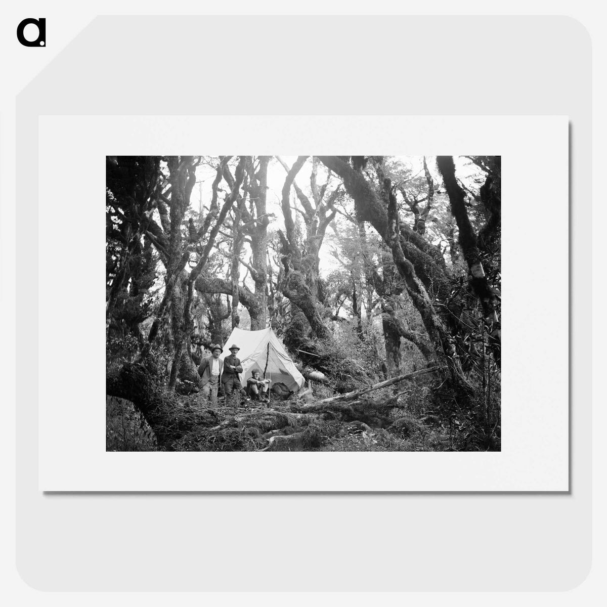 3-29_Leslie-Adkin_picture