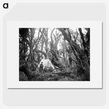 3-29_Leslie-Adkin_picture