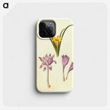 3-29_Maria-Sibylla-Merian_phone