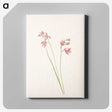 3-29_Mary-Vaux-Walcott_canvas