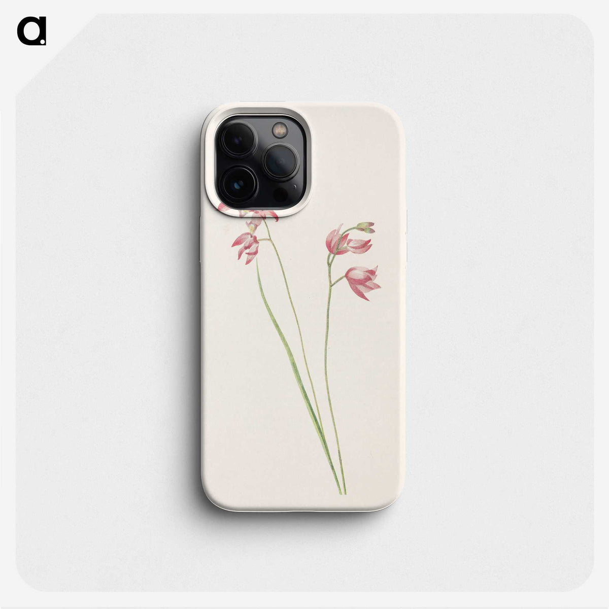 3-29_Mary-Vaux-Walcott_phone