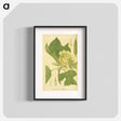 アートポスター-Liriodendron tulipifera
 - 国立医学図書館 Poster.