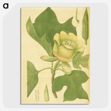 3-29_National-Library-of-Medicine_picture-crop
