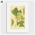 3-29_National-Library-of-Medicine_picture