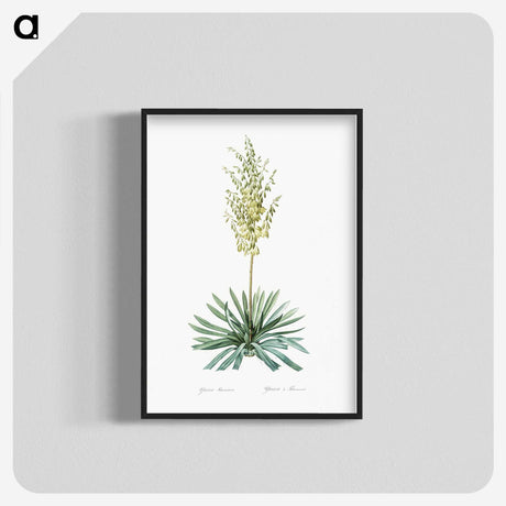 3-29_The-Lilies_blk-crop