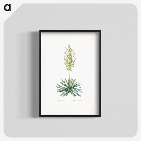 3-29_The-Lilies_blk