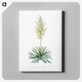 3-29_The-Lilies_canvas