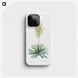3-29_The-Lilies_phone