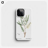 3-29_Treatise-on-Trees-and-Shrubs_phone