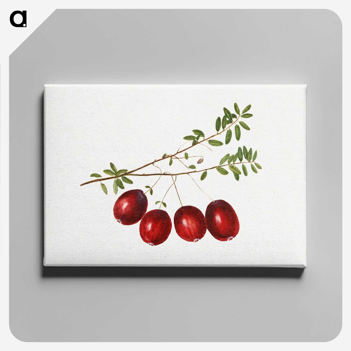 3-29_USDA-Watercolor-Fruit-Painting-Collection_canvas