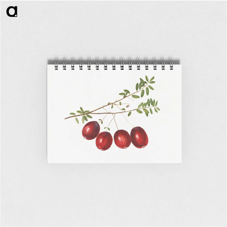3-29_USDA-Watercolor-Fruit-Painting-Collection_memo