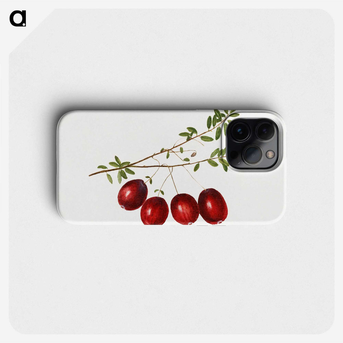 3-29_USDA-Watercolor-Fruit-Painting-Collection_phone