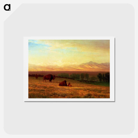 アートポストカード-Buffalo on the Plains - アルバート ビアスタット Postcard.