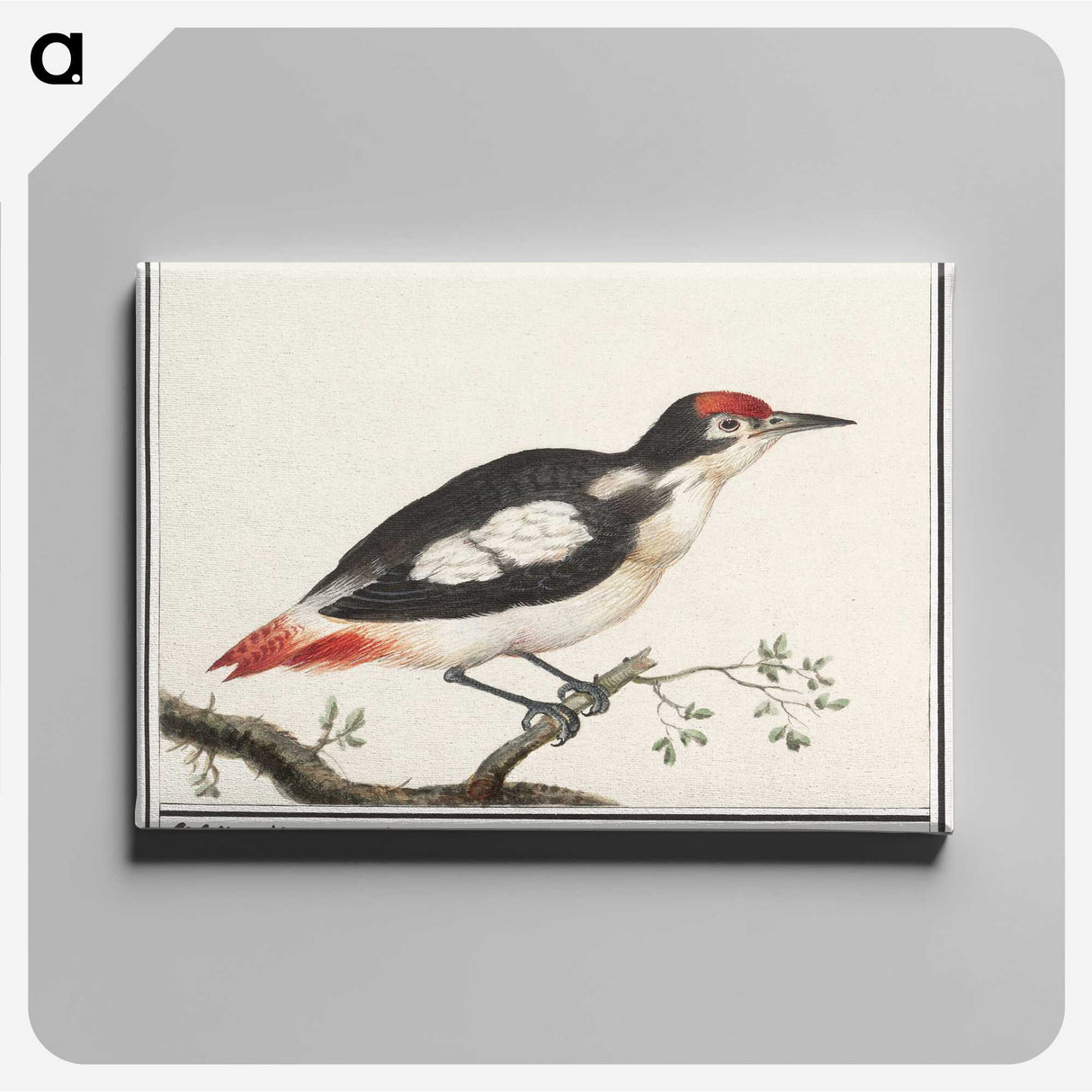 3-2_Anselmus-Boetius-de-Boodt_canvas