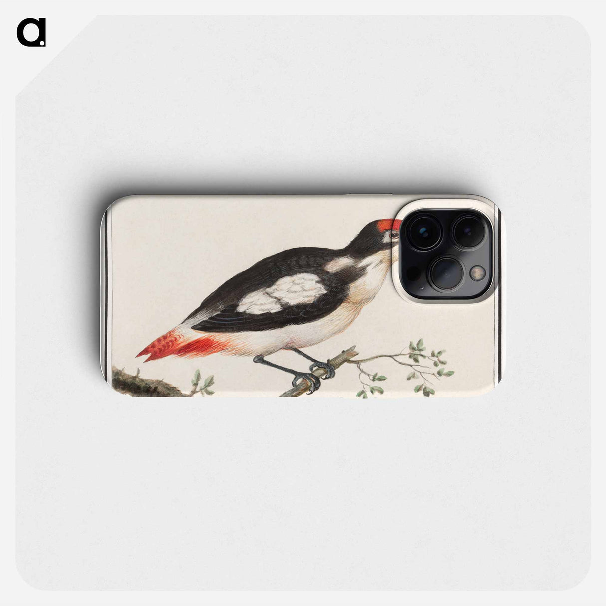Lesser spotted woodpecker - アンセルムス ボエティウス デ ブート Phone Case.