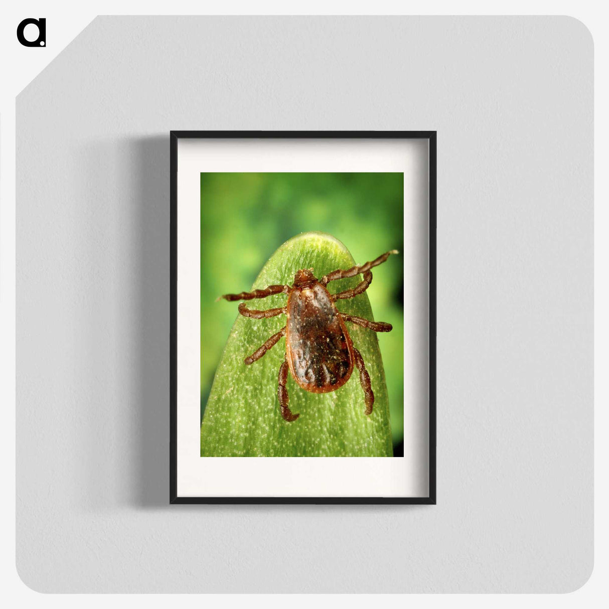 3-2_COVID-19_blk