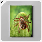 3-2_COVID-19_canvas