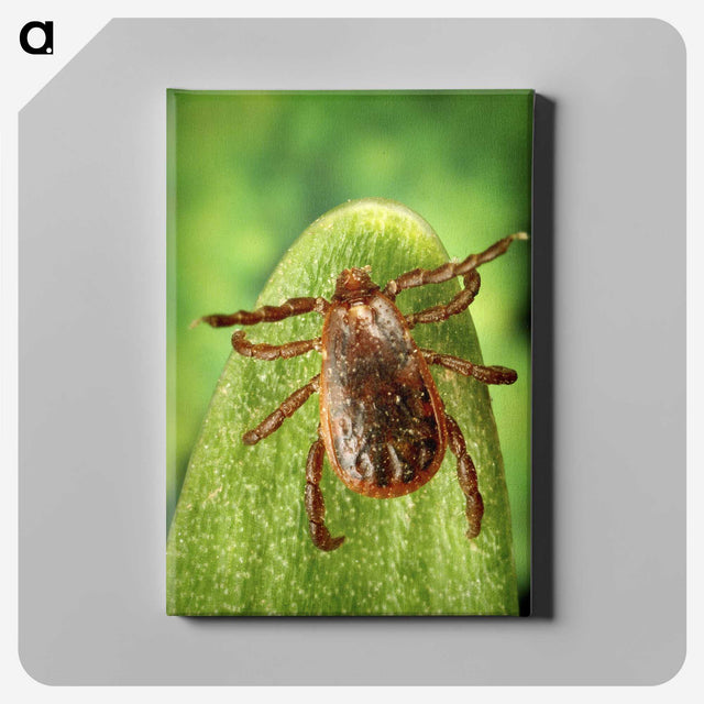 3-2_COVID-19_canvas