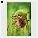 3-2_COVID-19_picture-crop