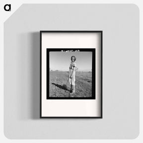 アートポスター-Resettled child of Bosque Farms, New Mexico. She herds cows for neighboring families for five cents per day - ドロテア ラング Poster.