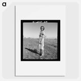 Resettled child of Bosque Farms, New Mexico. She herds cows for neighboring families for five cents per day - Dorothea Lange Poster.