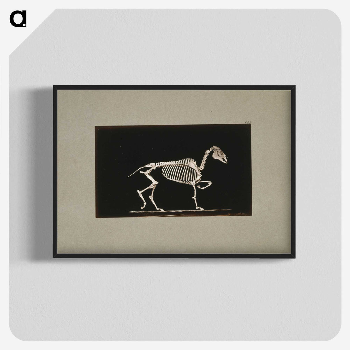 3-2_Eadweard-Muybridge_blk-crop