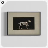 3-2_Eadweard-Muybridge_blk-crop