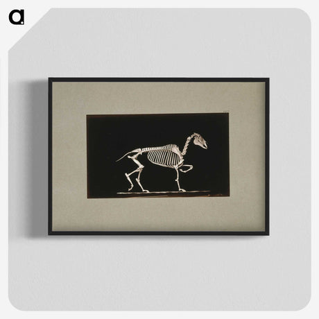 3-2_Eadweard-Muybridge_blk-crop